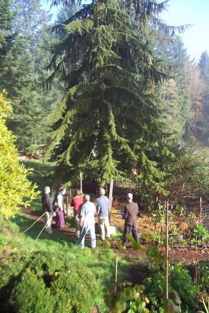 folks walk by tree